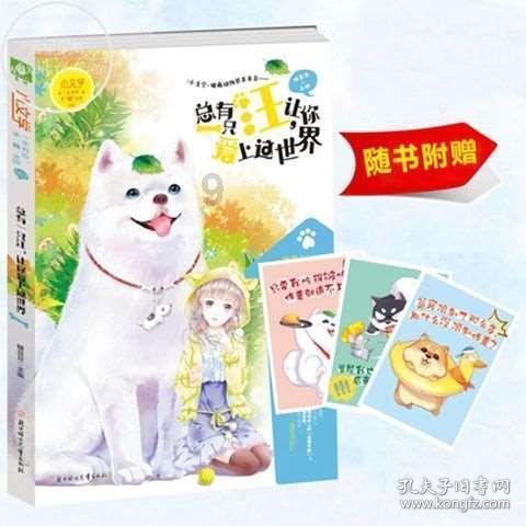 白虎宅的光影谜局：横长空间中的凶灾探秘